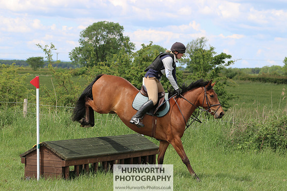 Hurworth Show Cross 139