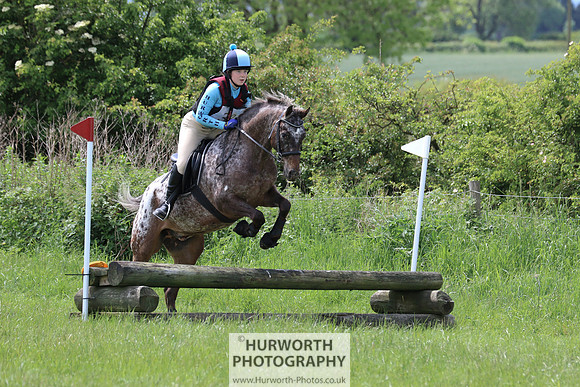Hurworth Show Cross 145