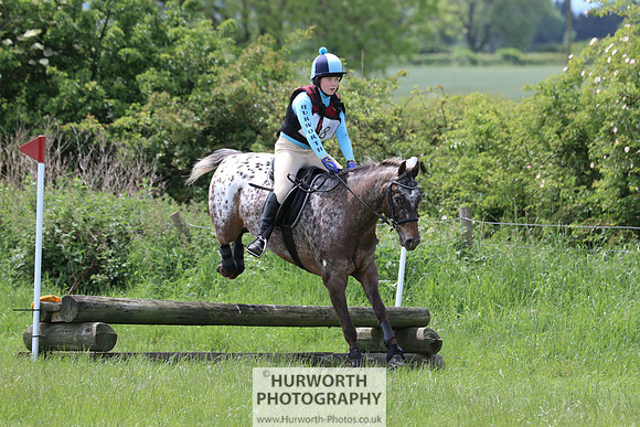 Hurworth Show Cross 147
