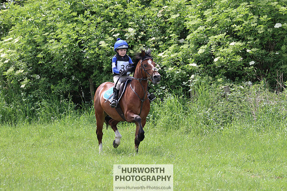 Hurworth Show Cross 154