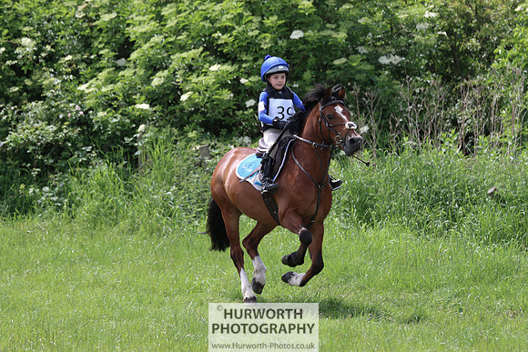 Hurworth Show Cross 156