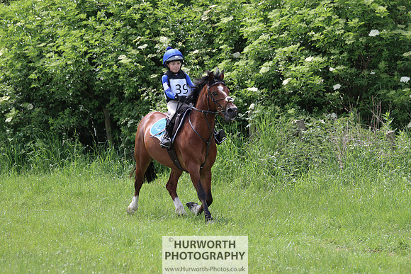 Hurworth Show Cross 155