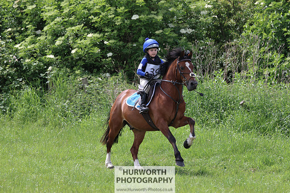 Hurworth Show Cross 157
