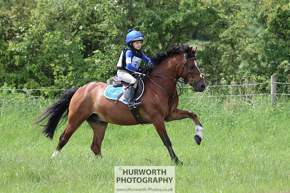 Hurworth Show Cross 161