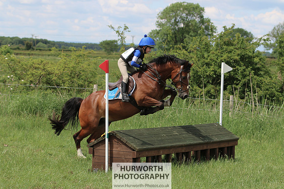 Hurworth Show Cross 162