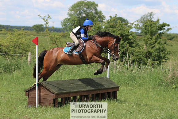 Hurworth Show Cross 163