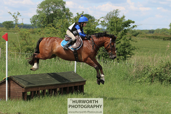 Hurworth Show Cross 164