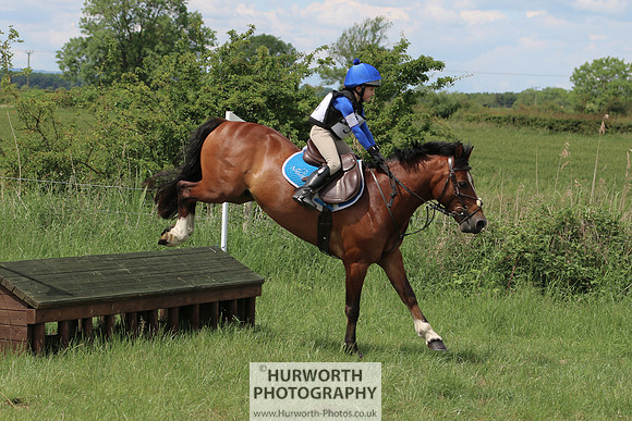 Hurworth Show Cross 165
