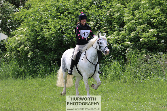 Hurworth Show Cross 208