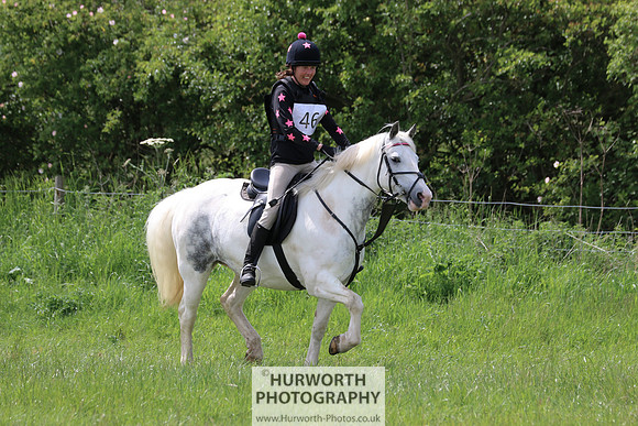 Hurworth Show Cross 212