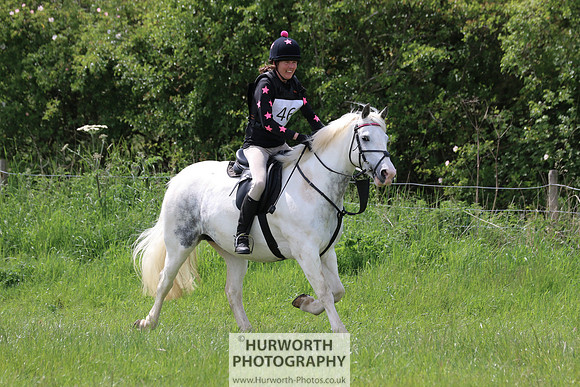 Hurworth Show Cross 213