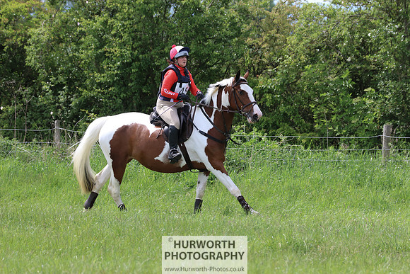 Hurworth Show Cross 231