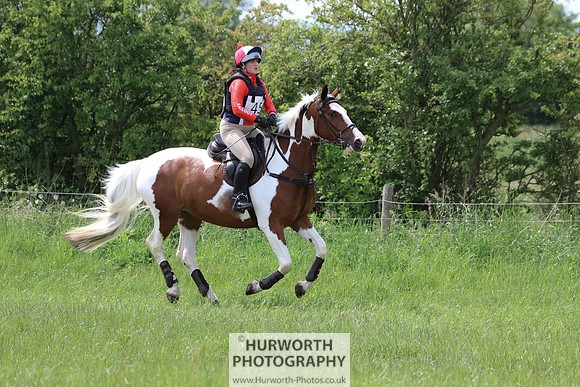 Hurworth Show Cross 232