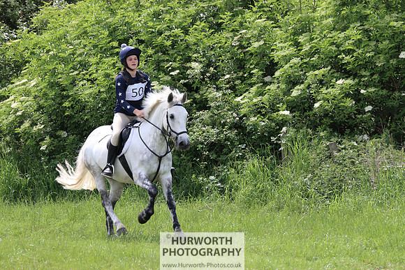 Hurworth Show Cross 236