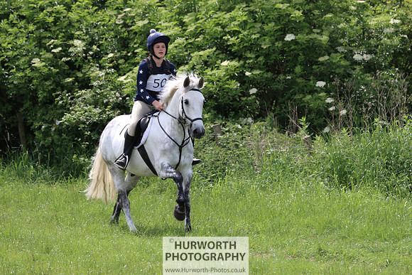 Hurworth Show Cross 237