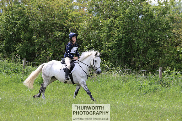 Hurworth Show Cross 241