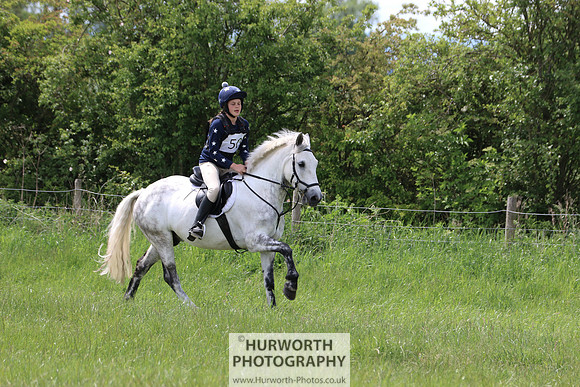 Hurworth Show Cross 242