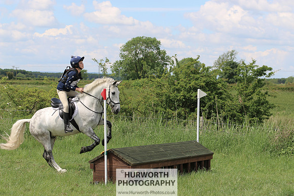 Hurworth Show Cross 243