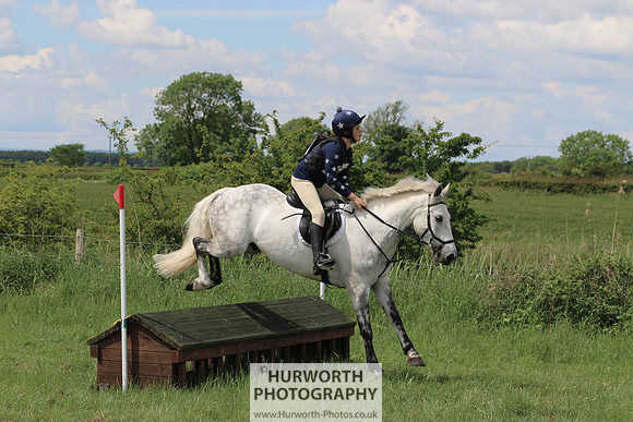 Hurworth Show Cross 246