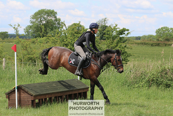 Hurworth Show Cross 253