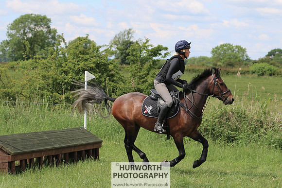 Hurworth Show Cross 254