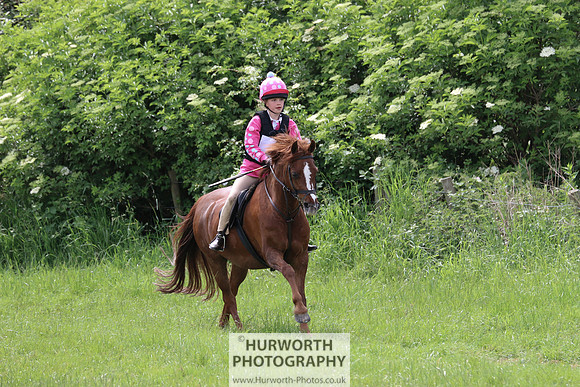 Hurworth Show Cross 271