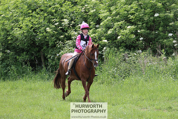 Hurworth Show Cross 272