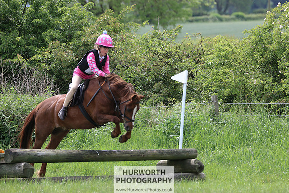 Hurworth Show Cross 273