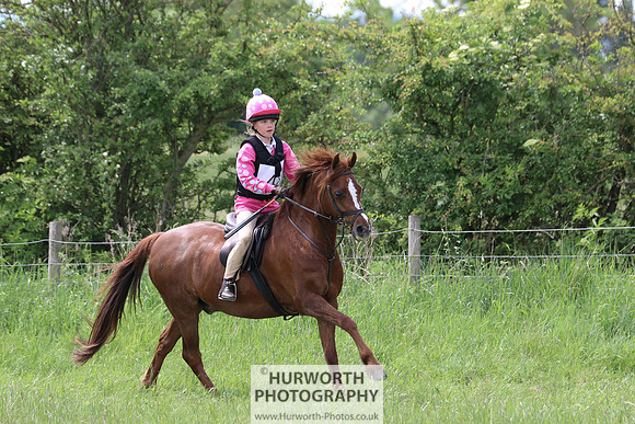 Hurworth Show Cross 275