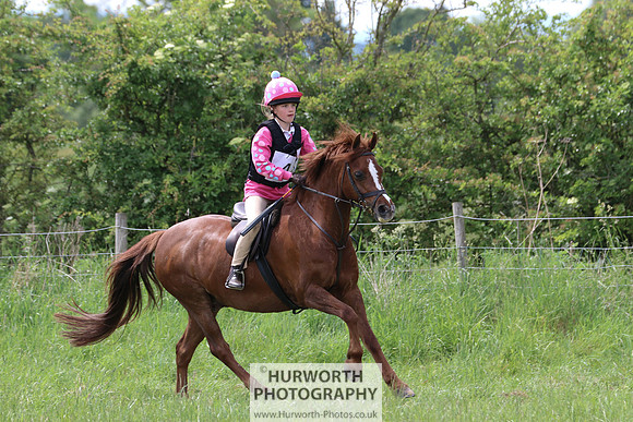 Hurworth Show Cross 276