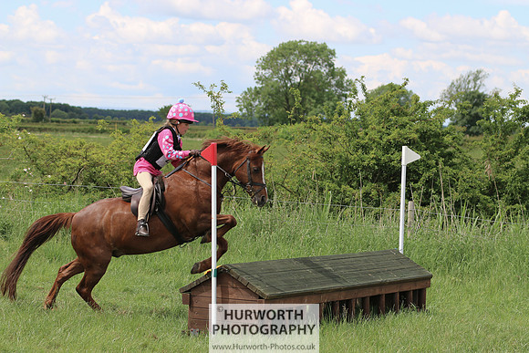 Hurworth Show Cross 277