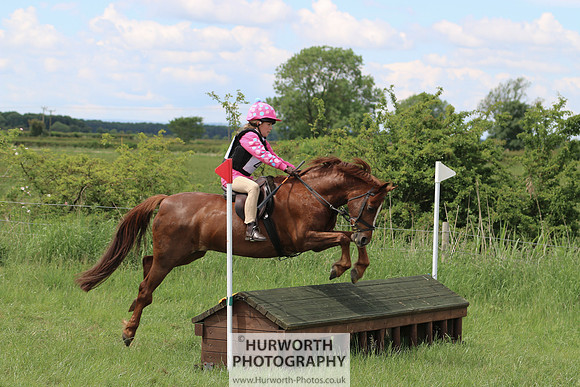 Hurworth Show Cross 278