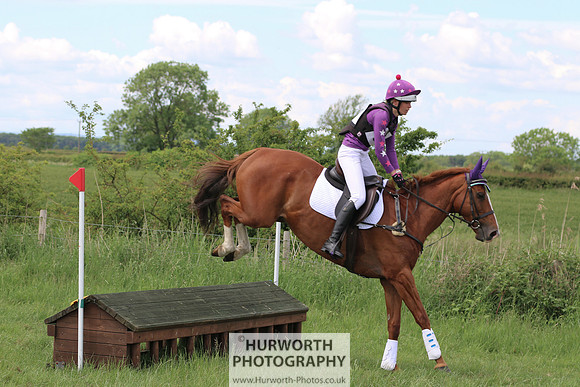 Hurworth Show Cross 291