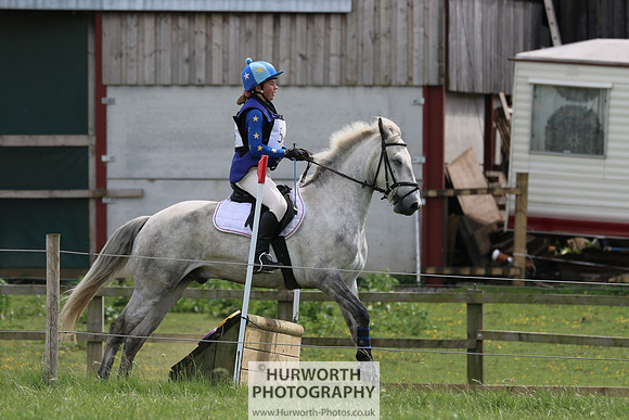Hurworth Show Cross 293