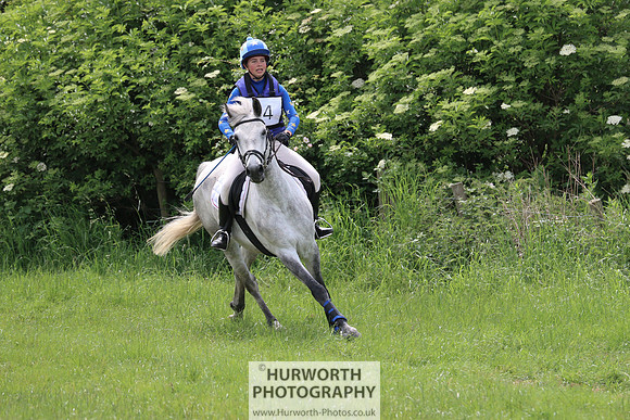 Hurworth Show Cross 294