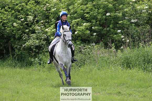 Hurworth Show Cross 295