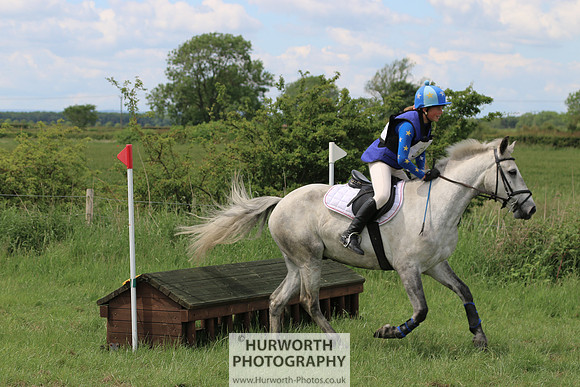 Hurworth Show Cross 304