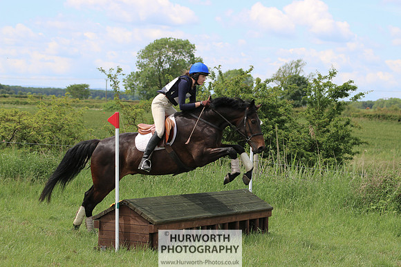 Hurworth Show Cross 312