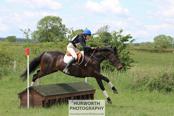 Hurworth Show Cross 313