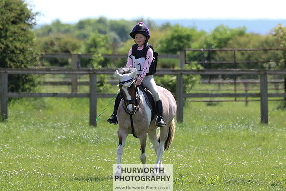 Hurworth Show Cross 113