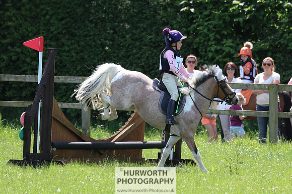 Hurworth Show Cross 117
