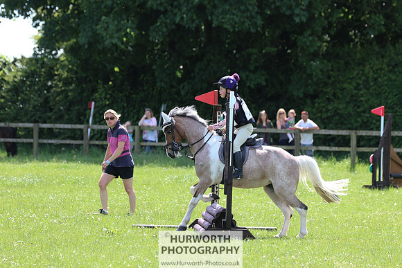 Hurworth Show Cross 119