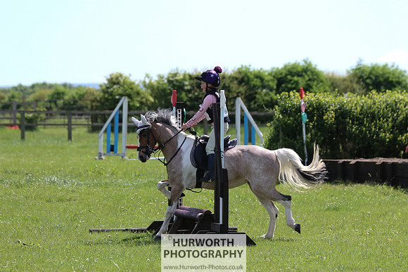 Hurworth Show Cross 120