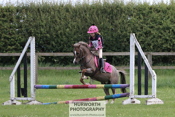 Hurworth Show Cross 100