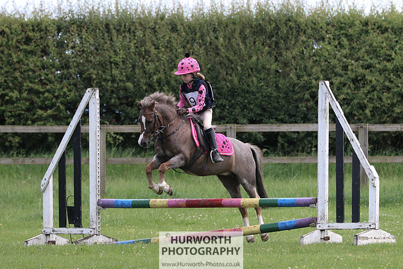 Hurworth Show Cross 101