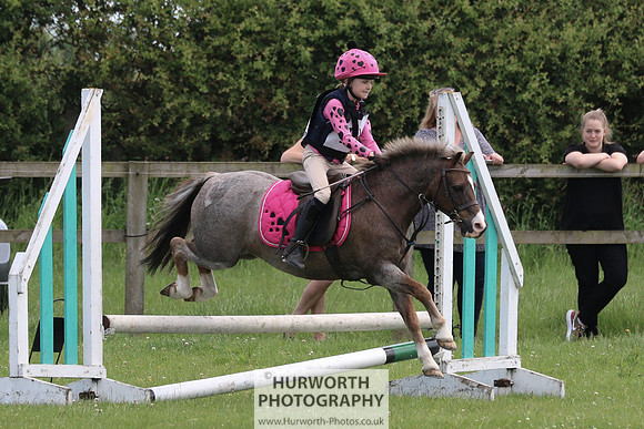 Hurworth Show Cross 104