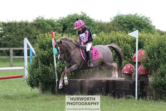 Hurworth Show Cross 118