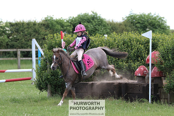 Hurworth Show Cross 119