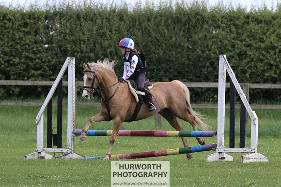 Hurworth Show Cross 135