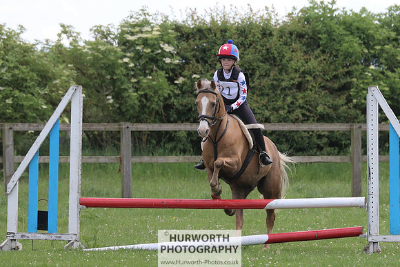 Hurworth Show Cross 137